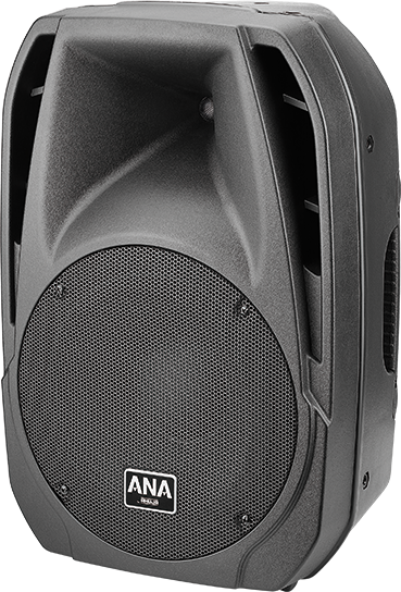 ahuja xpa 3010dp portable speaker