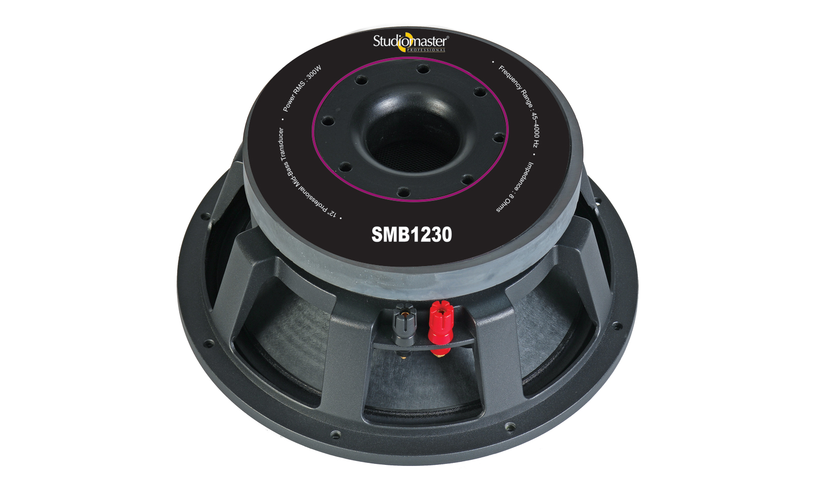 Studio master speaker 15 inch sale 450 watt price